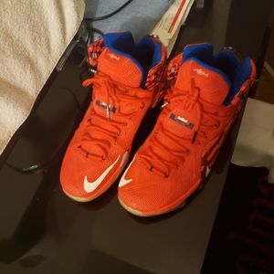 LeBron 12 U.S.As
